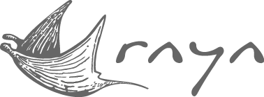 Recurso 8Rada-clients